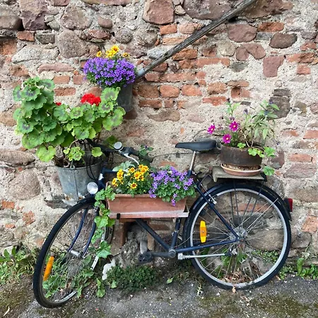 Apartment Cosy 2 Personnes En Alsace *